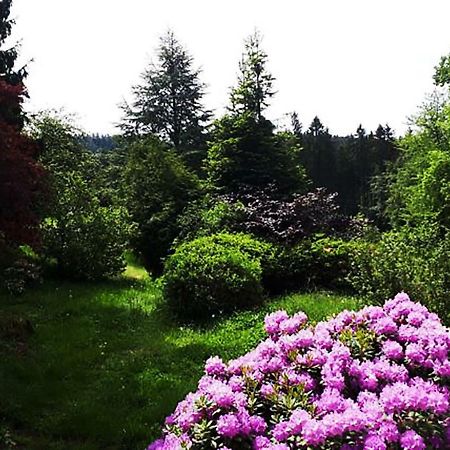 Green Corner Nuerburg Bagian luar foto