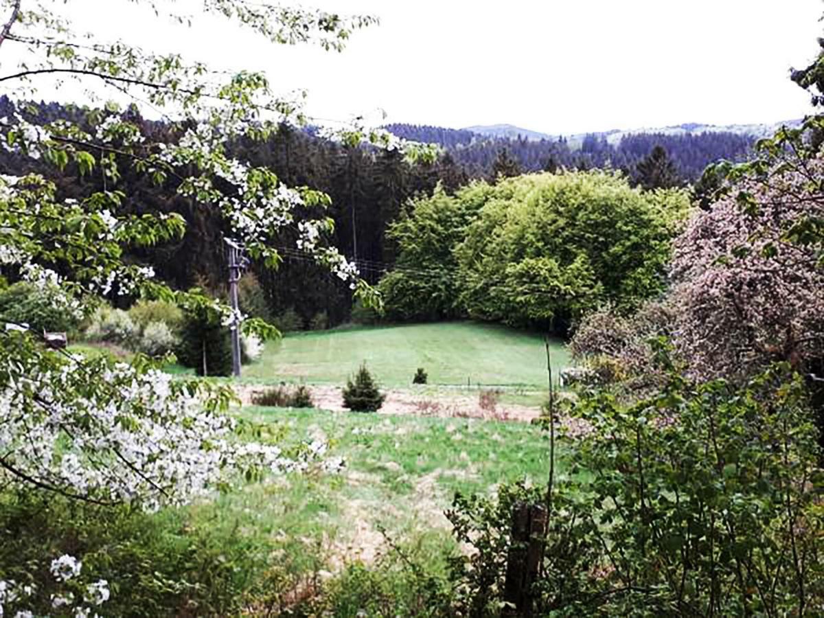 Green Corner Nuerburg Bagian luar foto